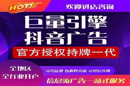 竞价SEM案例分享：快速提高网站流量技巧